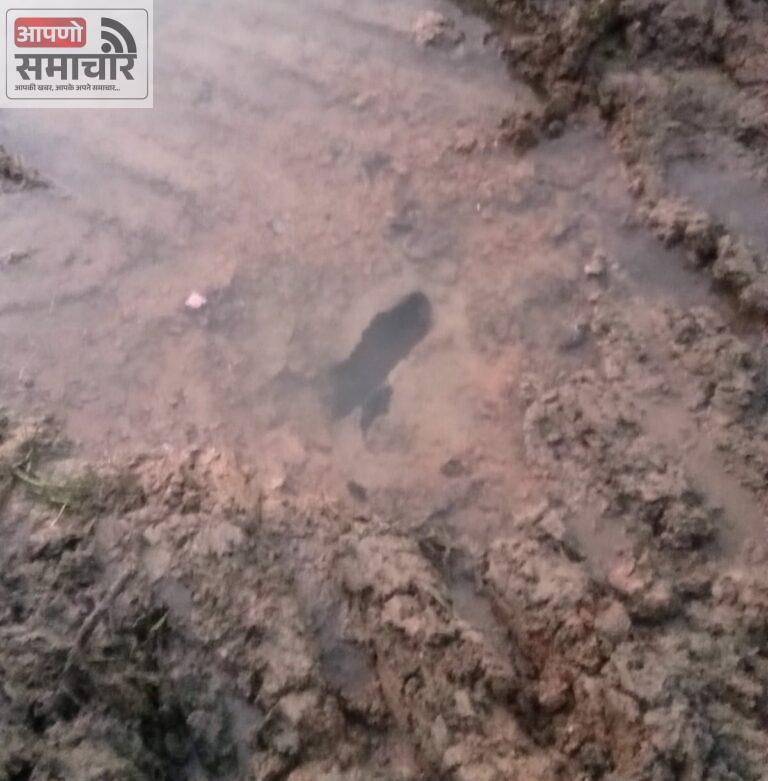 बेगूं के कई मोहल्लों में दो दिन रहेगी जलापूर्ति बंद। पाइप लाइन क्षतिग्रस्त होने से रहेगी जलापूर्ति बाधित।